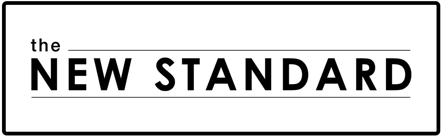 The New Standard Logo