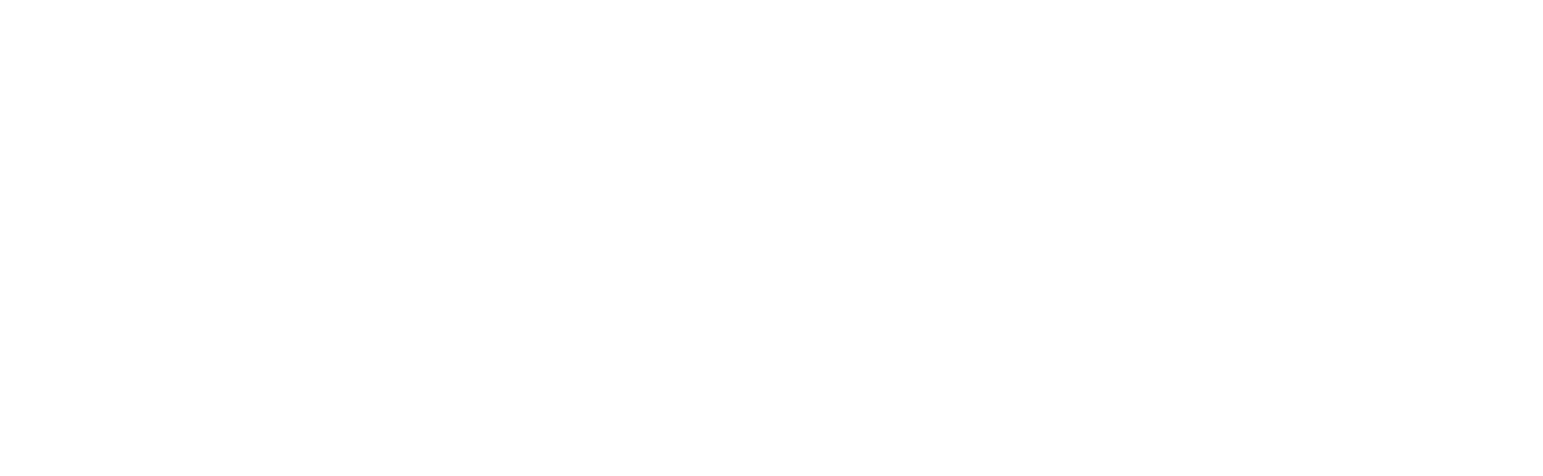 The New Standard Logo